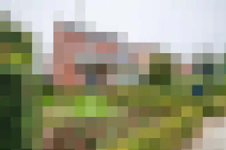 Beekseweg 3 Wehl thumbnail 23