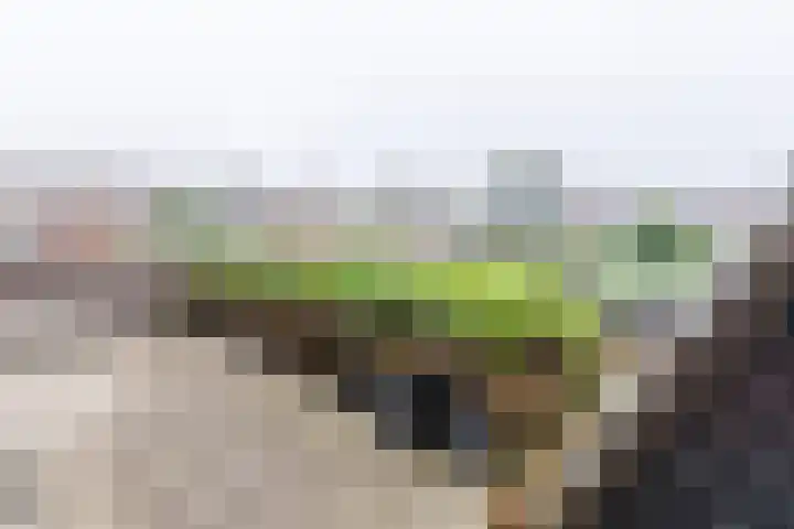 Beekseweg 3 Wehl thumbnail 30