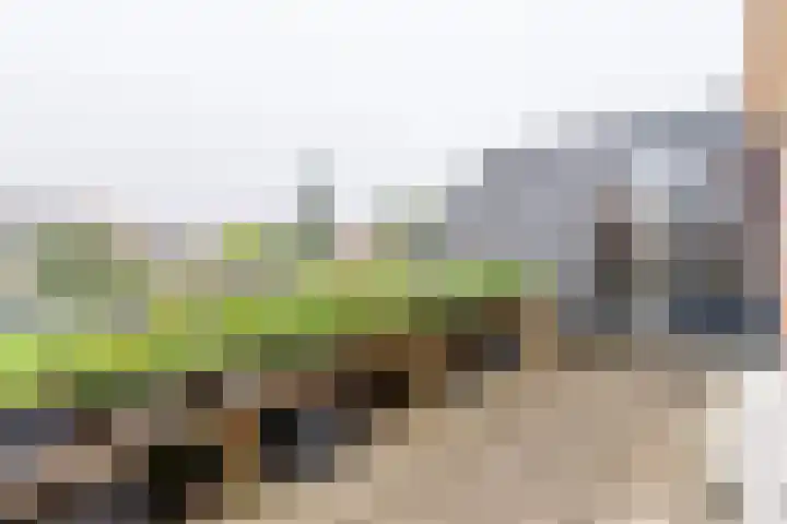Beekseweg 3 Wehl thumbnail 31