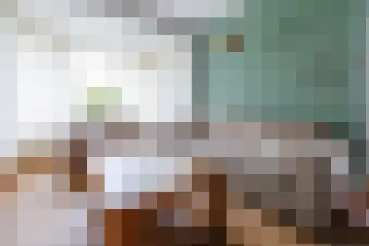 Beekseweg 3 Wehl thumbnail 4