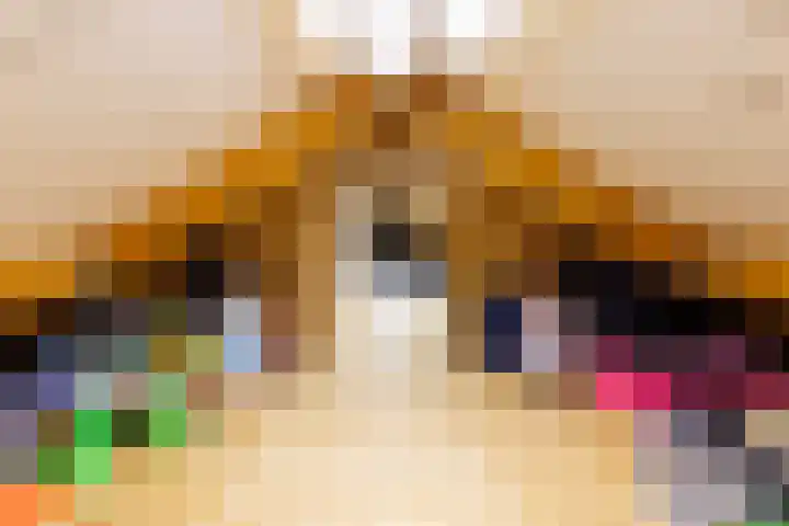 Beekseweg 3 Wehl thumbnail 46