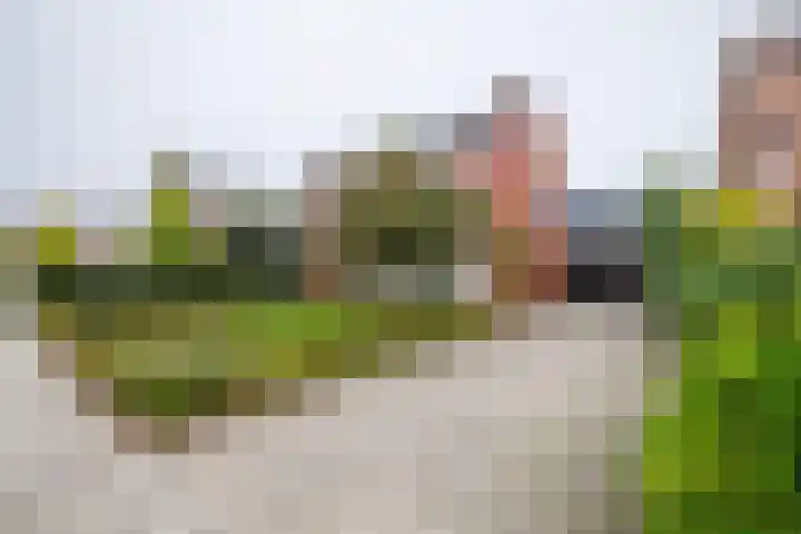 Beekseweg 3 Wehl thumbnail 49