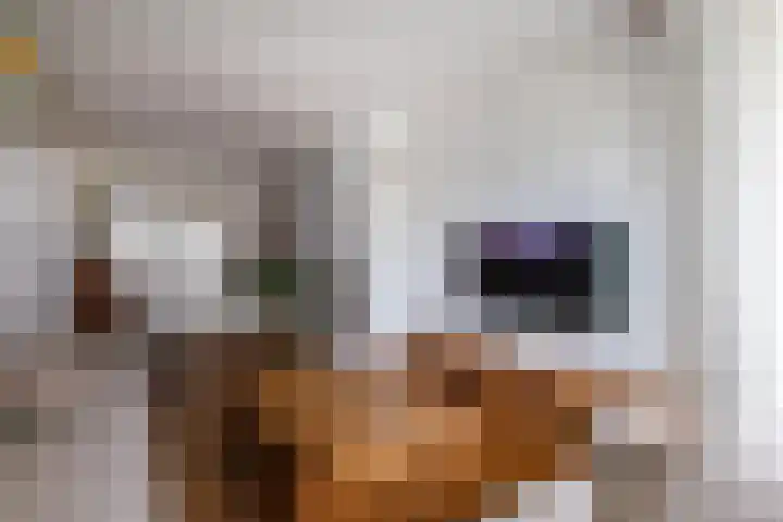 Beekseweg 3 Wehl thumbnail 5