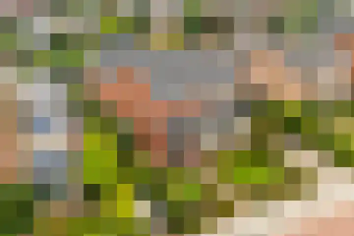 Beekseweg 3 Wehl thumbnail 50