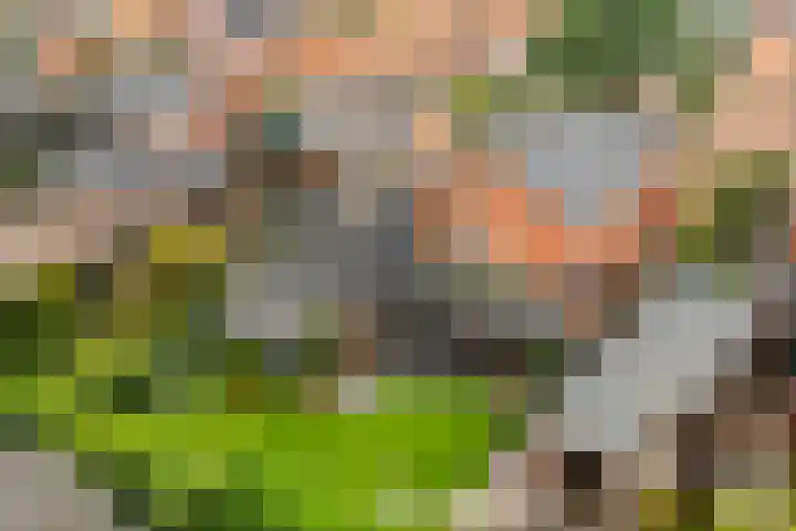 Beekseweg 3 Wehl thumbnail 52