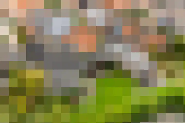 Beekseweg 3 Wehl thumbnail 53