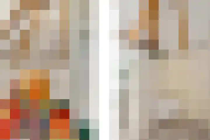 Beekseweg 84 Didam thumbnail 13