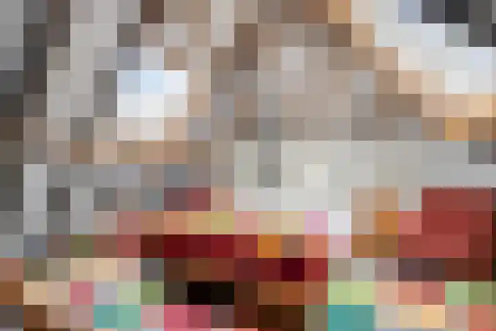 Beekseweg 84 Didam thumbnail 15