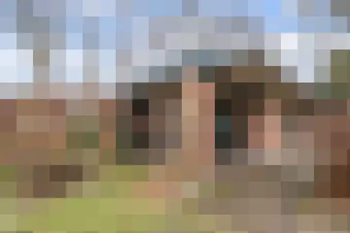 Beekseweg 84 Didam thumbnail 17
