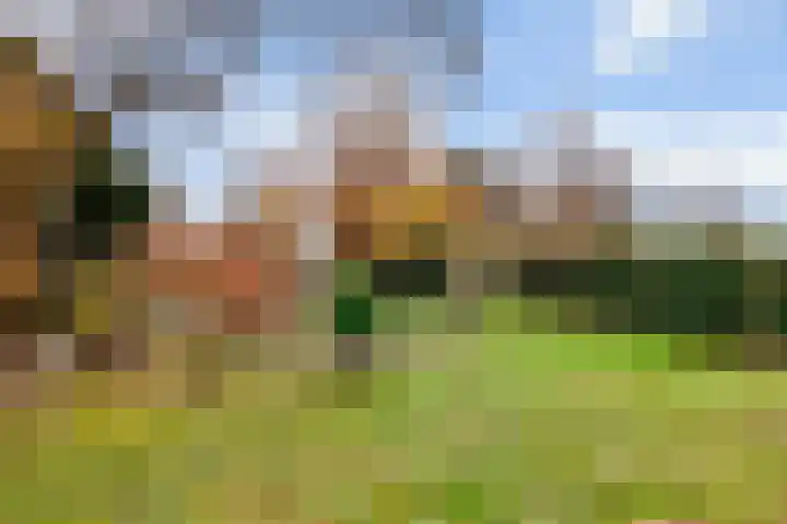 Beekseweg 84 Didam thumbnail 19