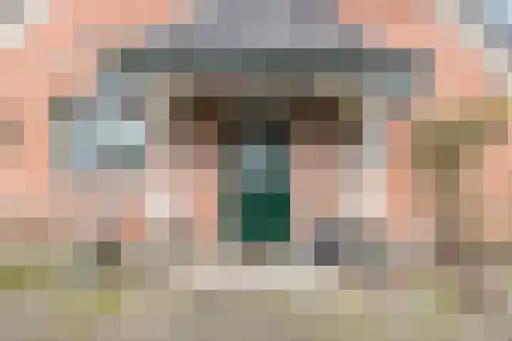 Beekseweg 84 Didam thumbnail 4