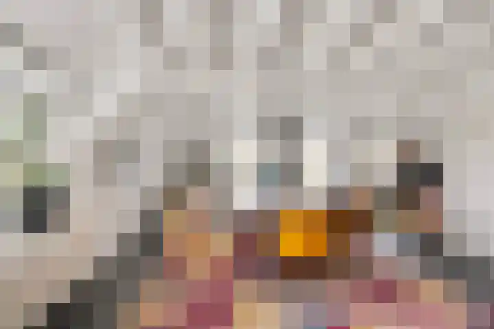 Beekseweg 84 Didam thumbnail 5