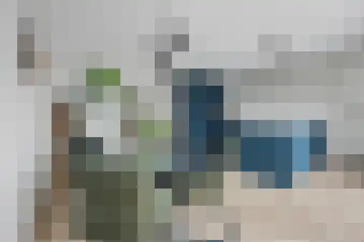 Beekshof 38 Winterswijk Meddo thumbnail 16