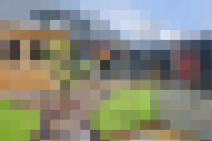 Beekshof 38 Winterswijk Meddo thumbnail 43
