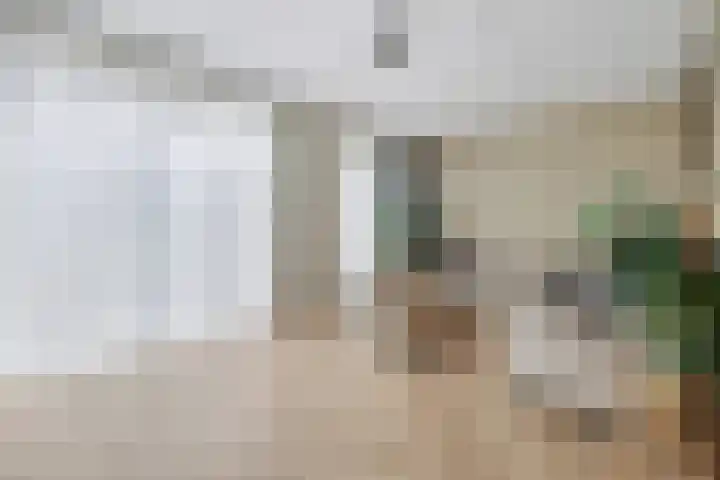 Beekshof 38 Winterswijk Meddo thumbnail 9
