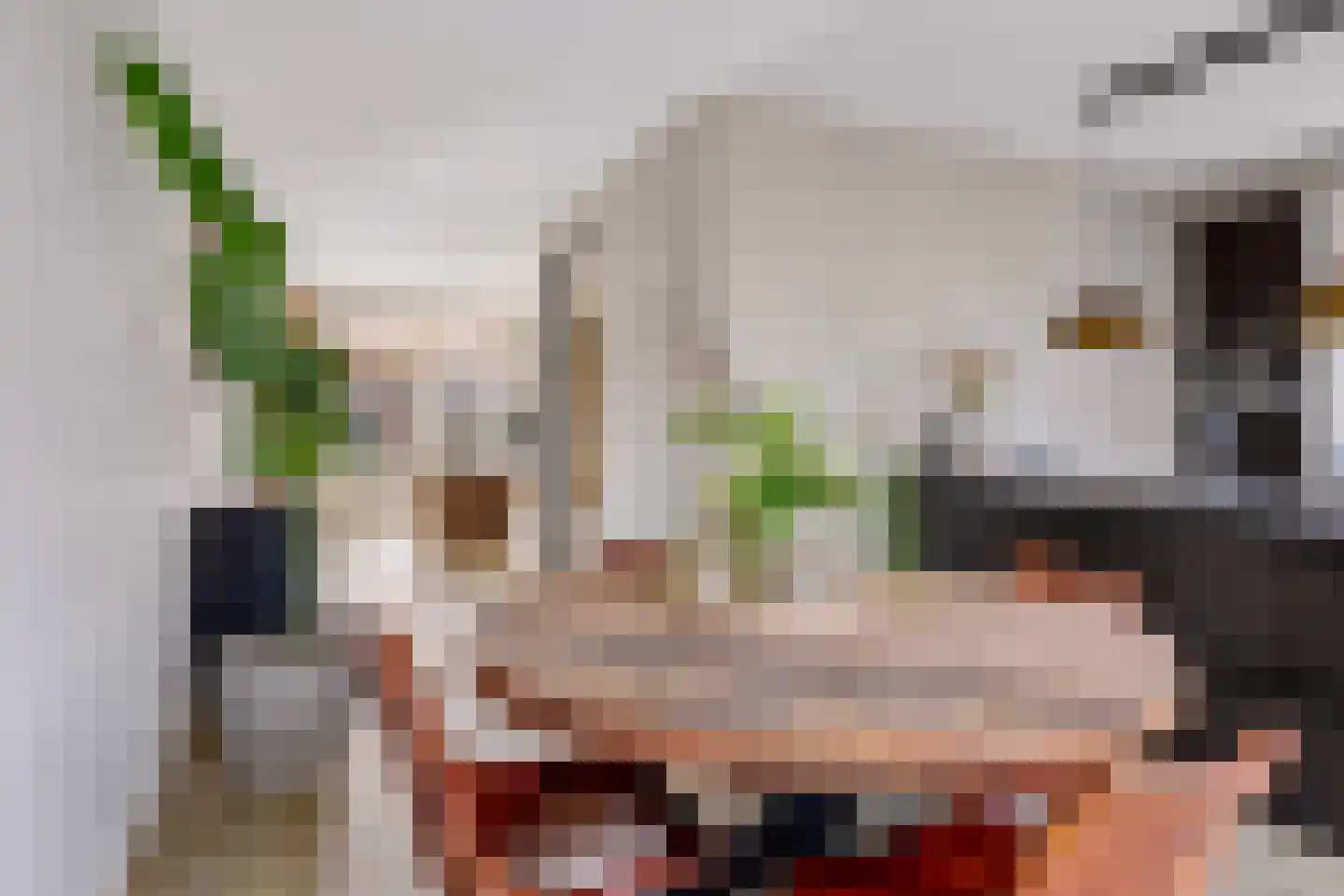 Beeksingel 44 Eibergen thumbnail 16