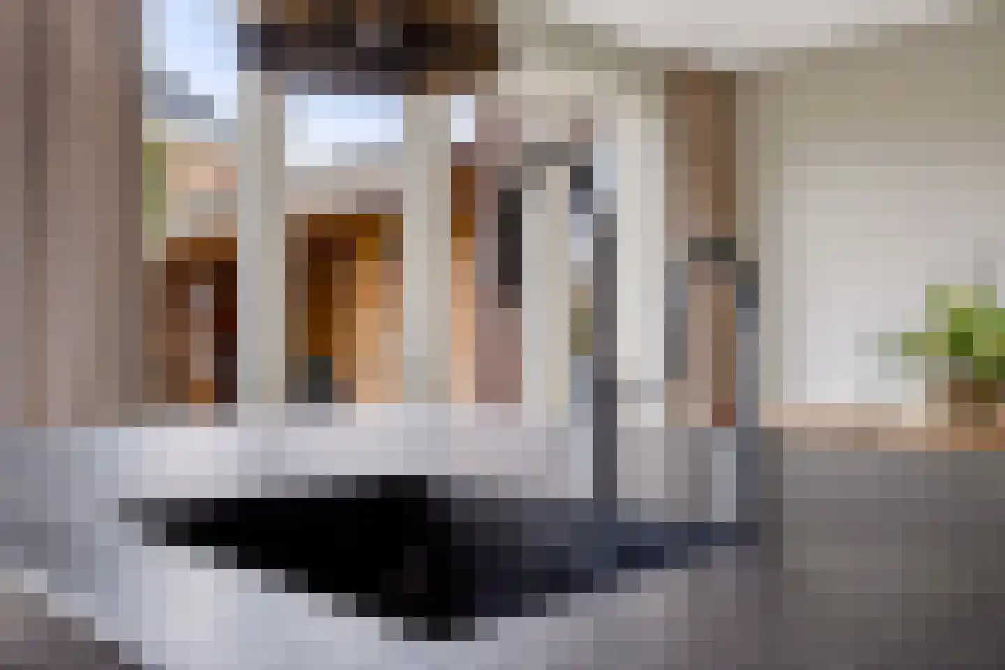 Beeksingel 44 Eibergen thumbnail 22