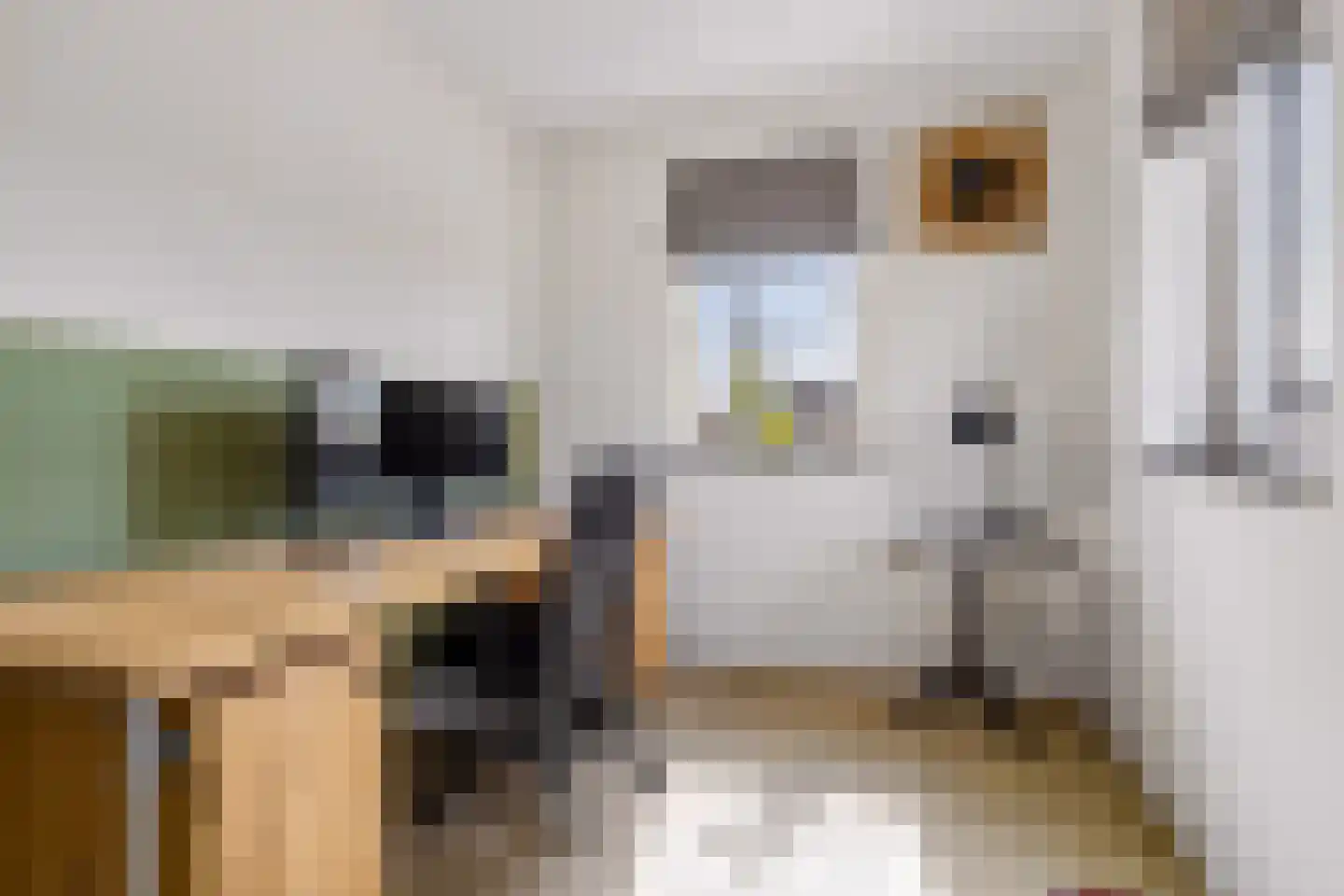 Beeksingel 44 Eibergen thumbnail 28