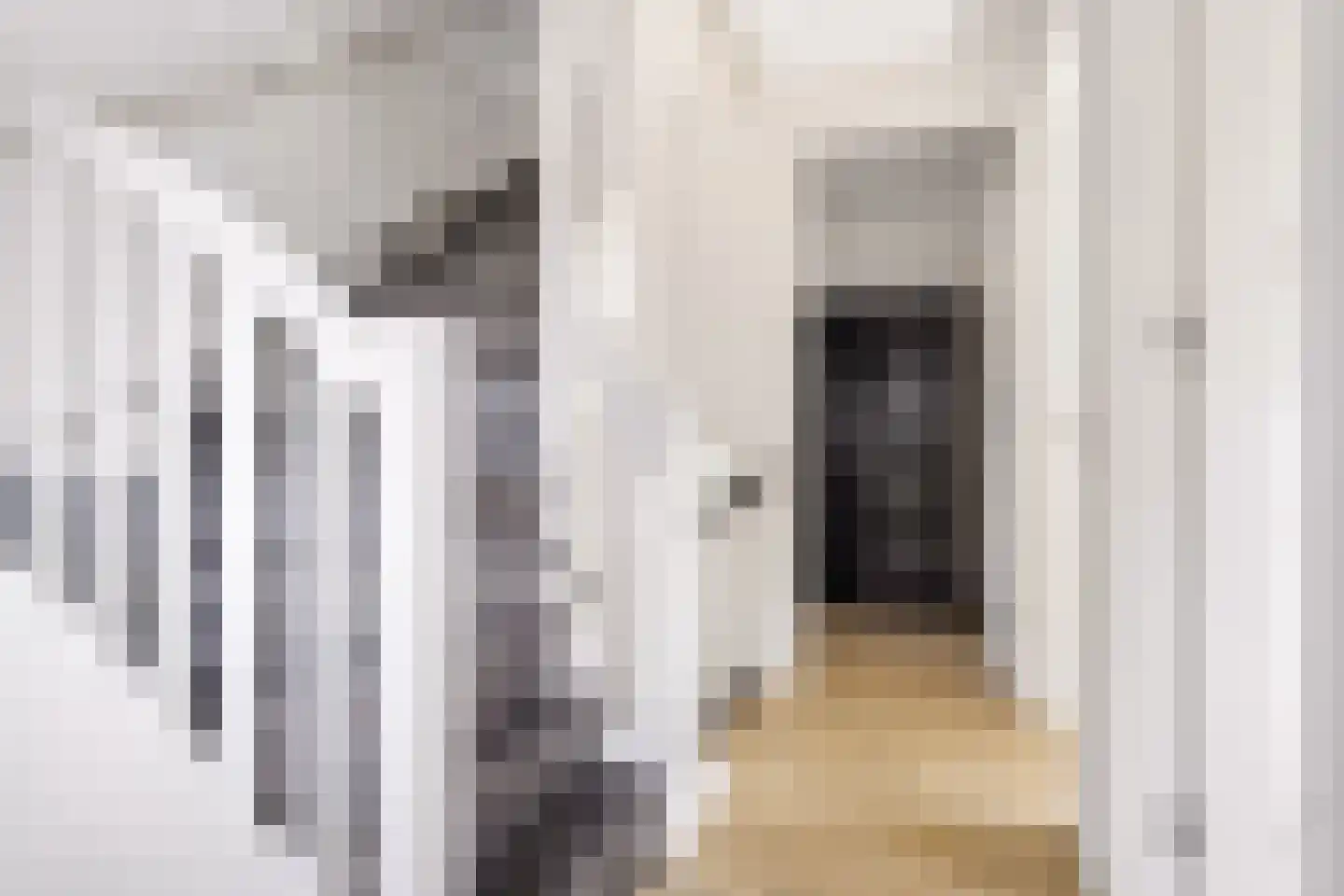 Beeksingel 44 Eibergen thumbnail 37
