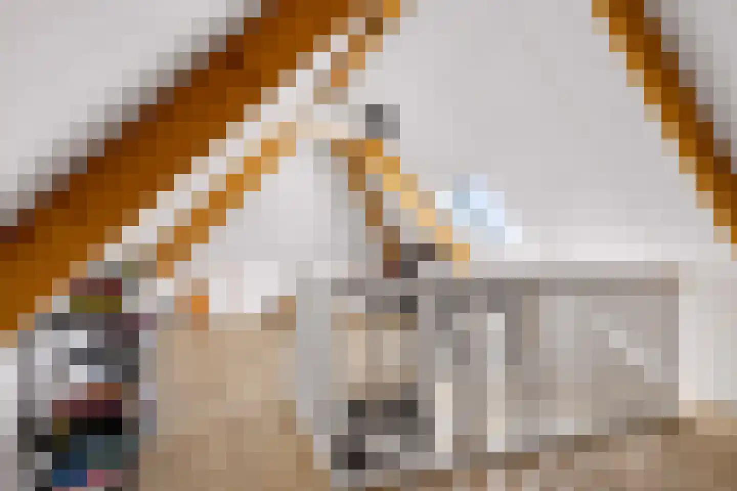 Beeksingel 44 Eibergen thumbnail 38