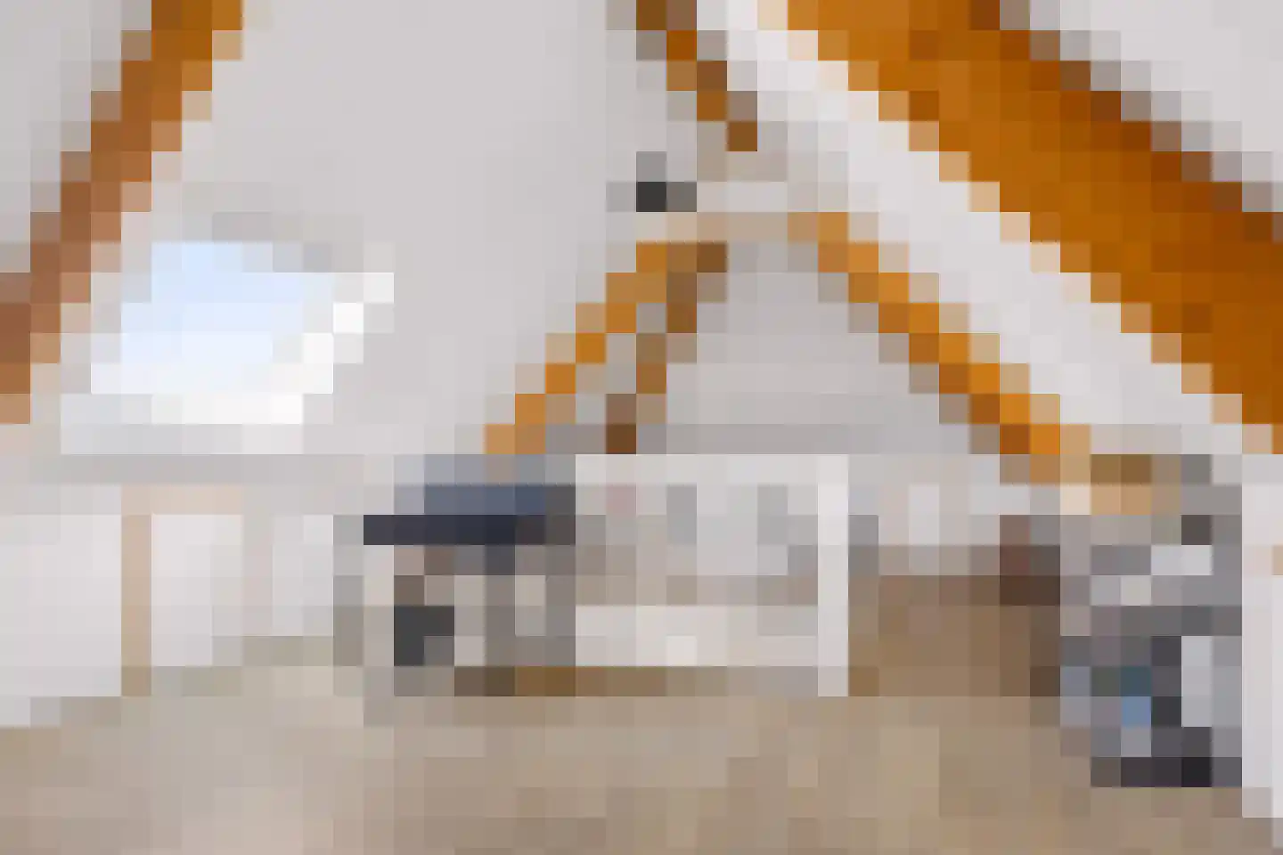 Beeksingel 44 Eibergen thumbnail 39