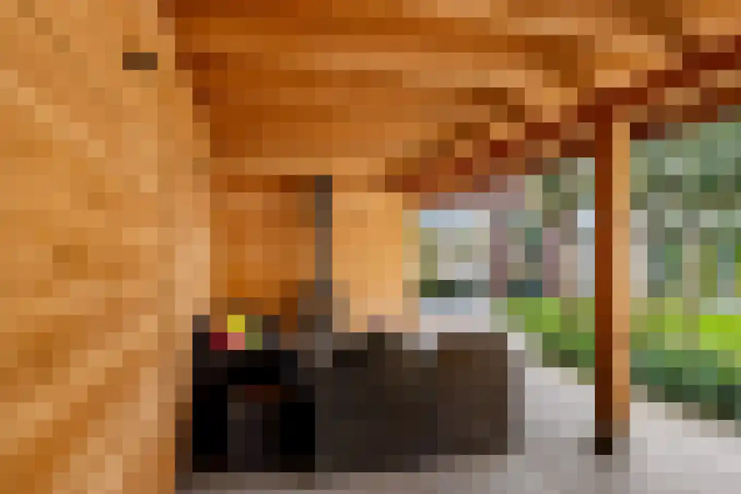 Beeksingel 44 Eibergen thumbnail 47