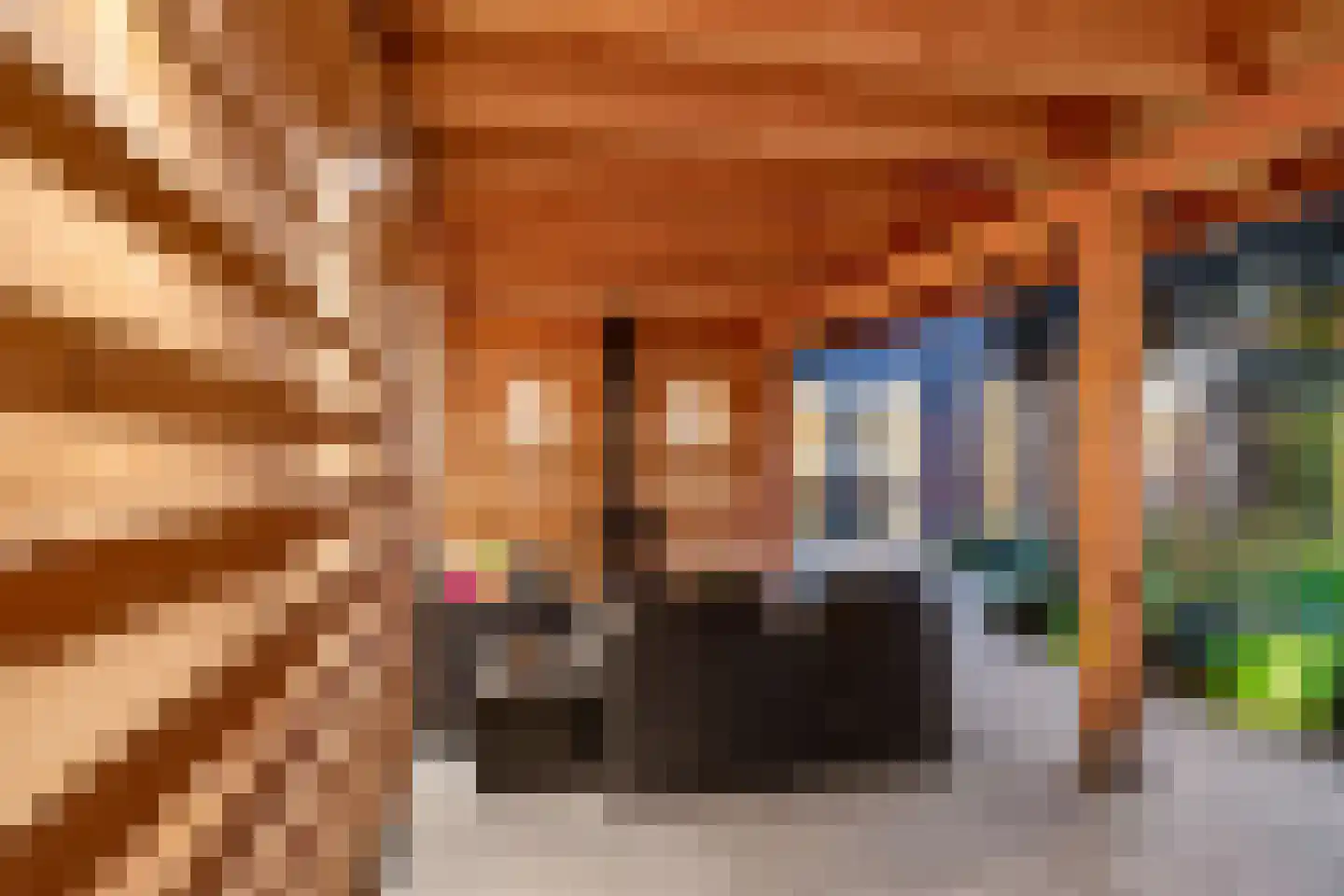 Beeksingel 44 Eibergen thumbnail 62