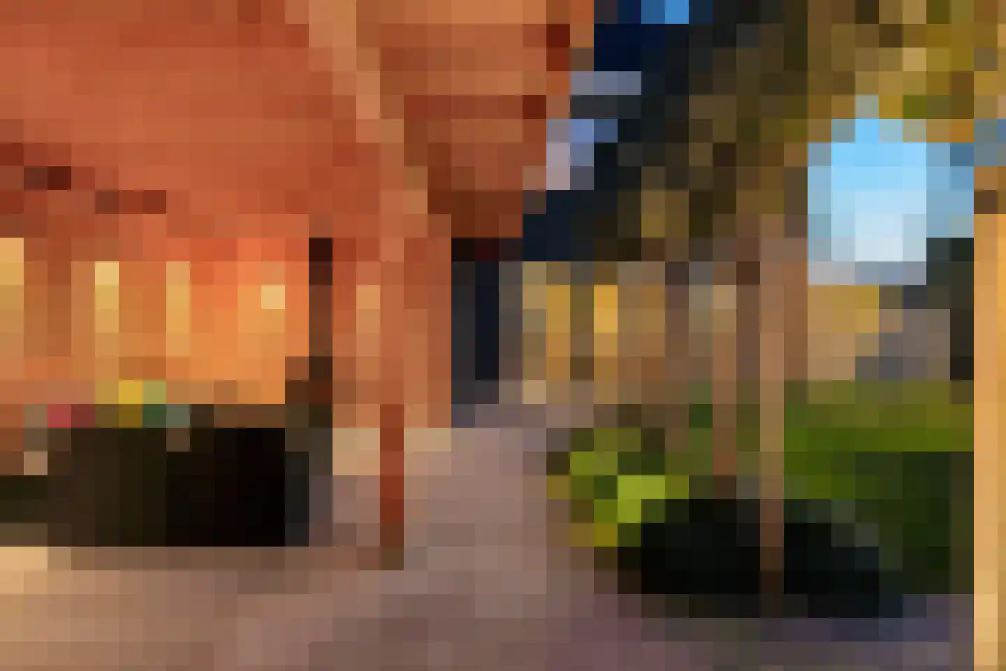 Beeksingel 44 Eibergen thumbnail 64