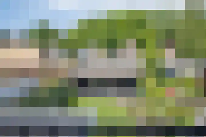 Beekstraat 16 Epe thumbnail 26