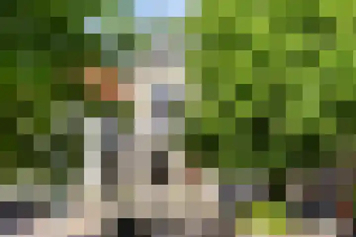 Beekstraat 16 Epe thumbnail 4