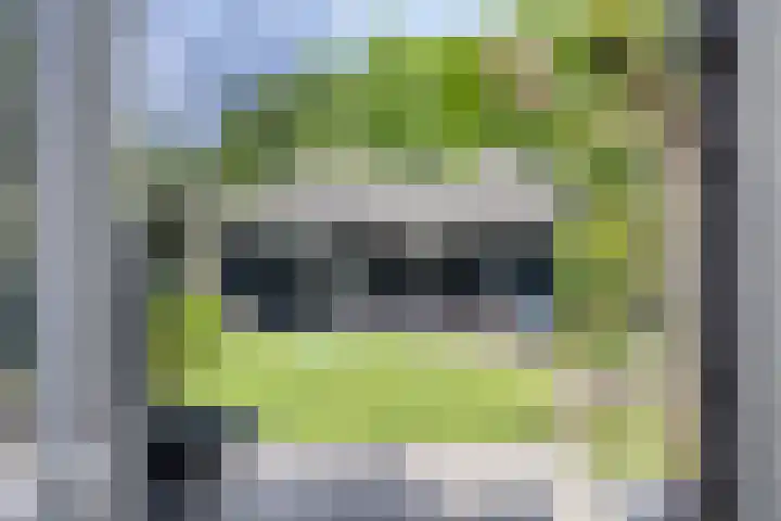 Beekstraat 16 Epe thumbnail 43