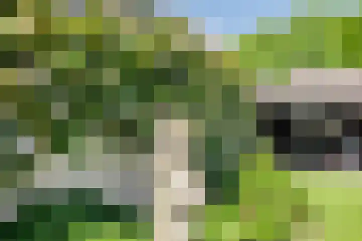 Beekstraat 16 Epe thumbnail 44