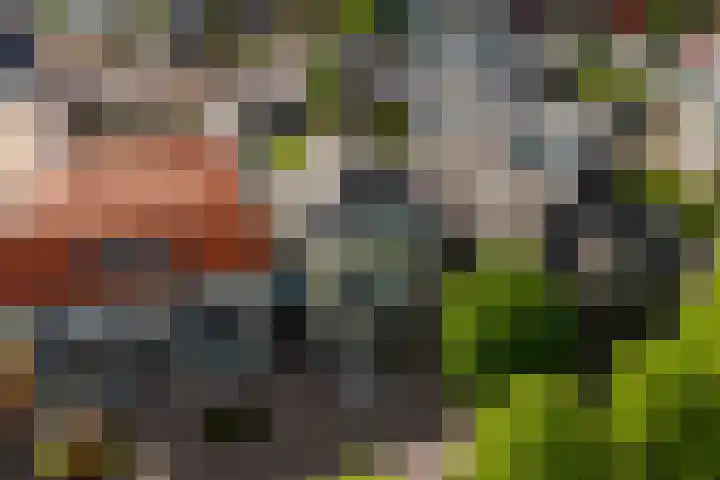 Beekstraat 16 Epe thumbnail 51