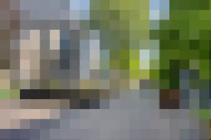 Beekstraat 16 Epe thumbnail 56