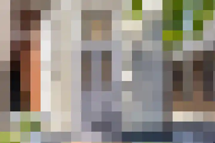 Beekstraat 16 Epe thumbnail 6