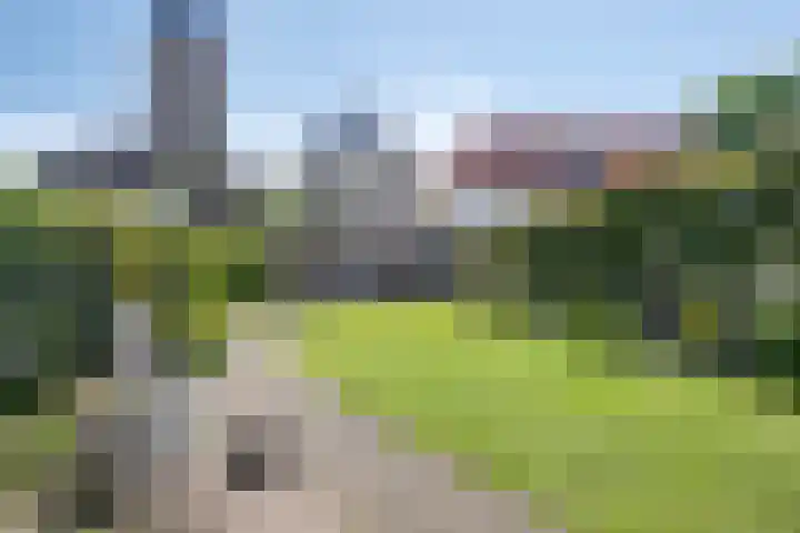 Beekstraat 16 Epe thumbnail 64