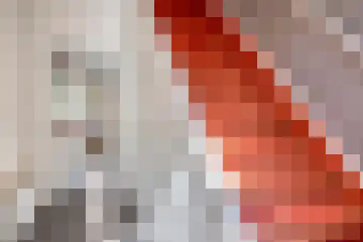 Beekstraat 16 Epe thumbnail 7