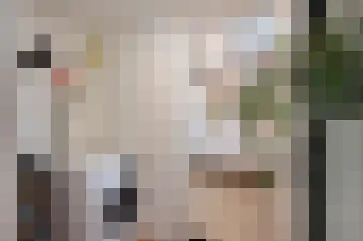Beekstraat 18 Limbricht thumbnail 19