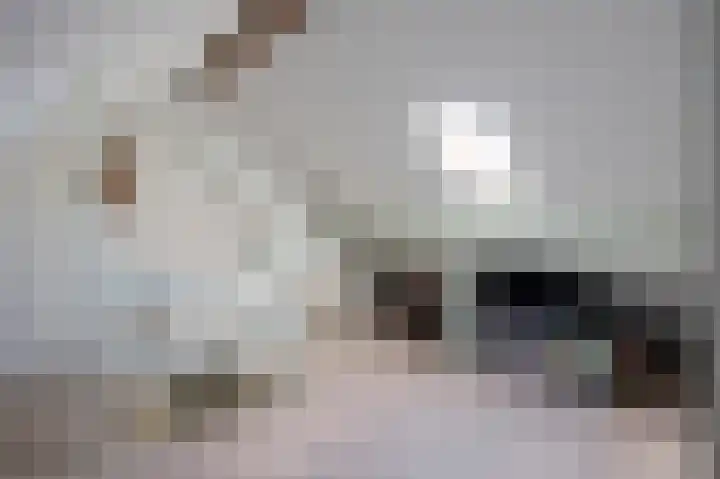Beekstraat 18 Limbricht thumbnail 29