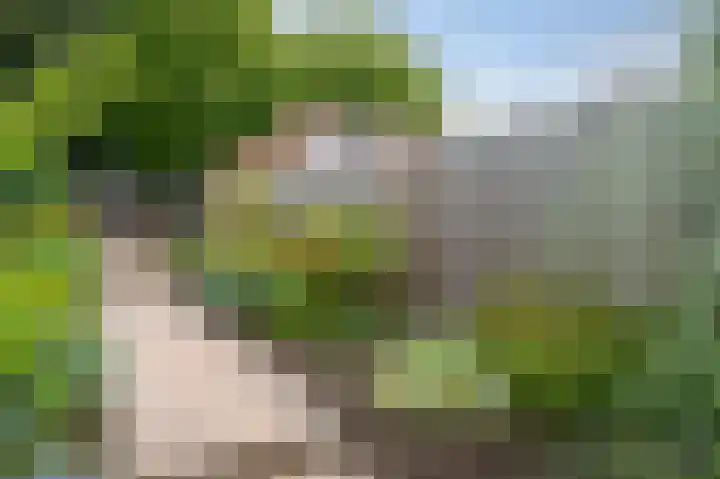 Beekstraat 18 Limbricht thumbnail 35