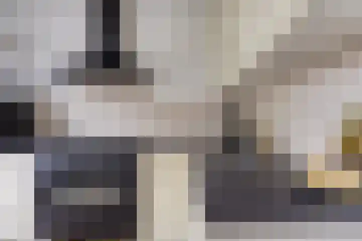 Beekstraat 21 Chaam thumbnail 12