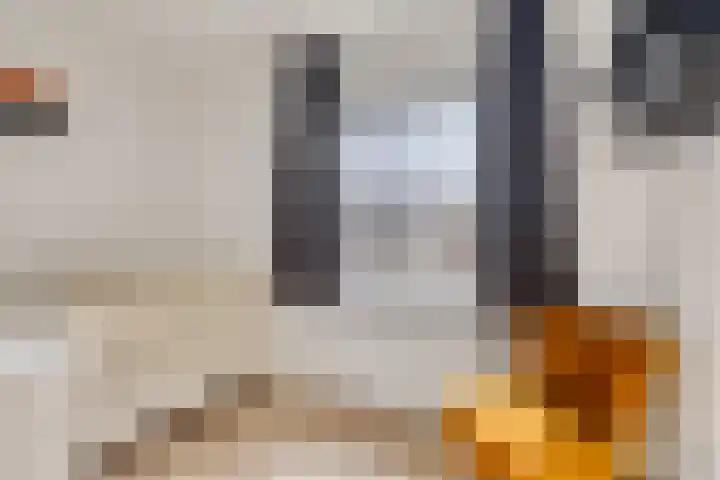 Beekstraat 21 Chaam thumbnail 15