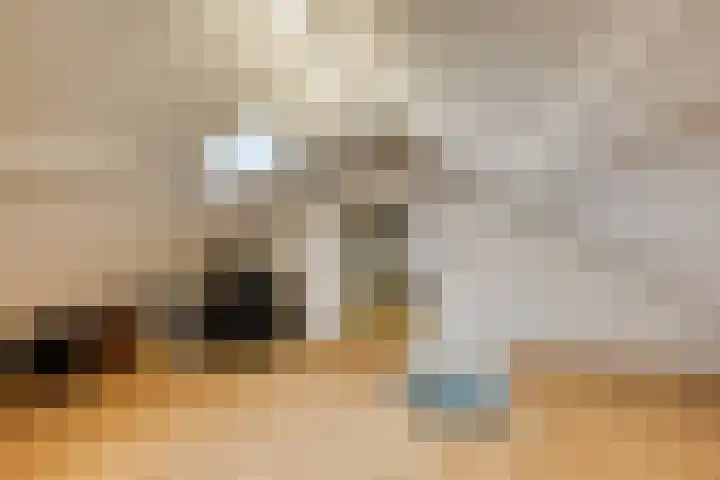 Beekstraat 21 Chaam thumbnail 21