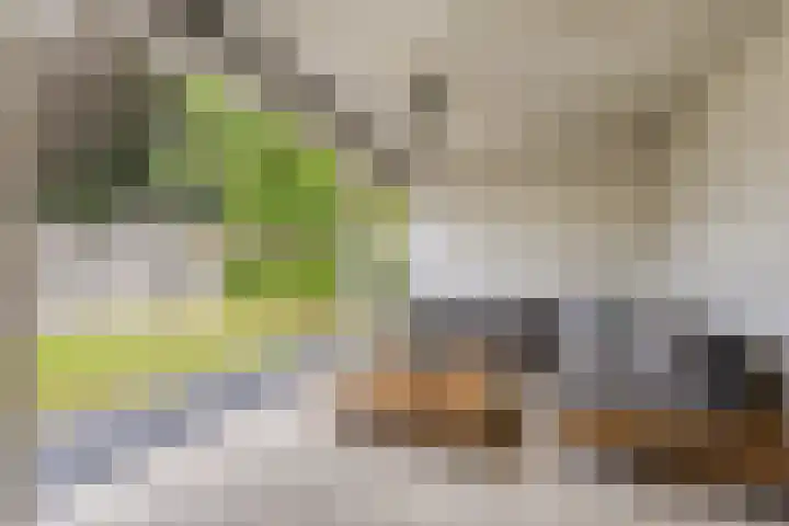 Beekstraat 21 Chaam thumbnail 24