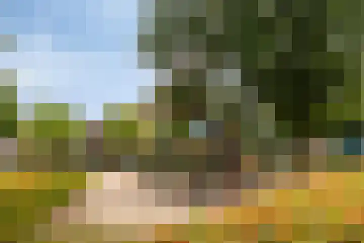 Beekstraat 21 Chaam thumbnail 28