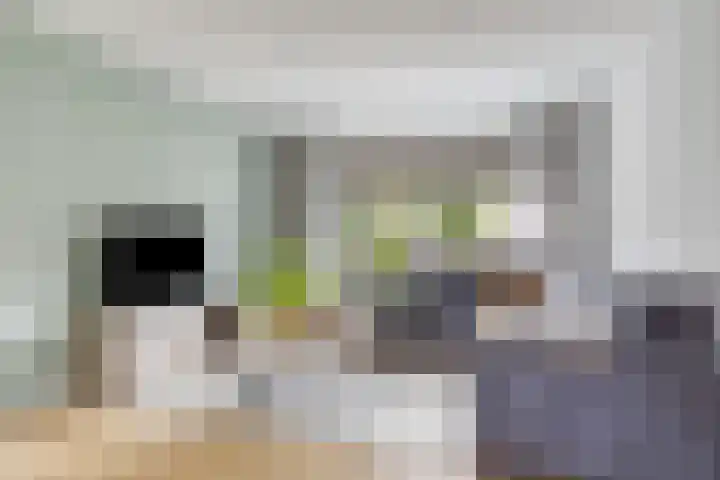 Beekstraat 21 Chaam thumbnail 5