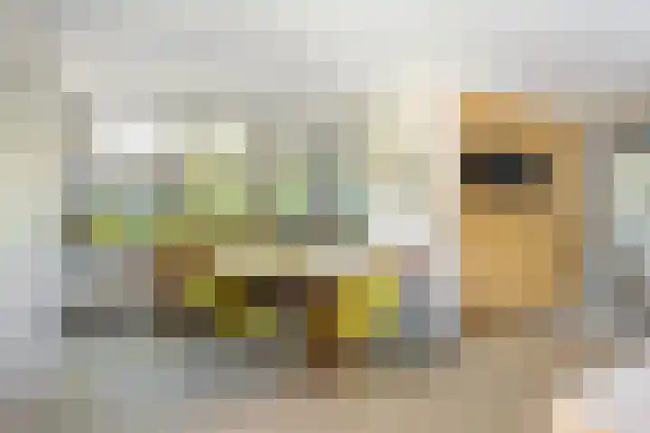Beekstraat 22 E Nuenen thumbnail 10