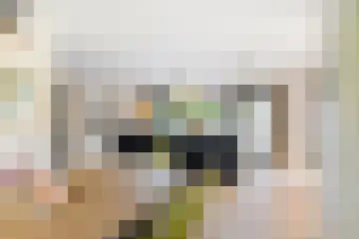 Beekstraat 22 E Nuenen thumbnail 14