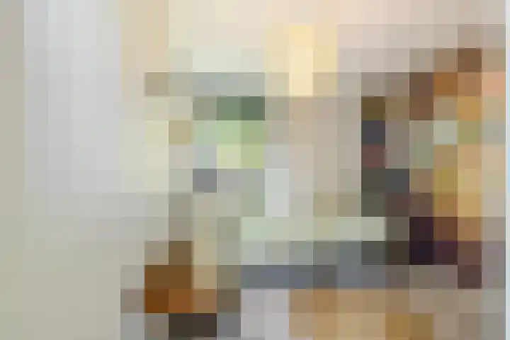 Beekstraat 22 E Nuenen thumbnail 33