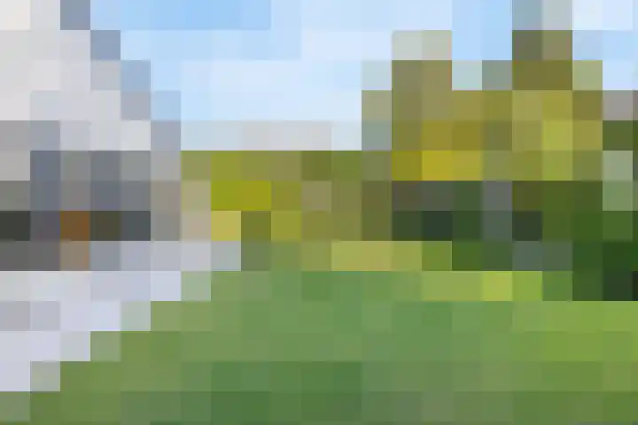 Beekstraat 22 E Nuenen thumbnail 59
